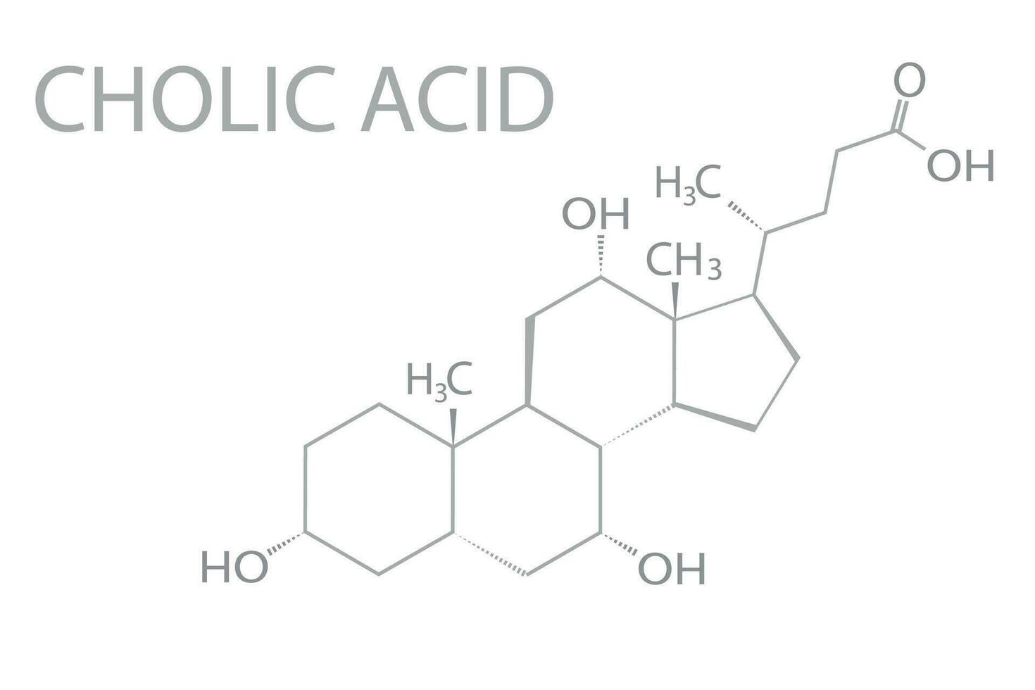 cholic zuur moleculair skelet- chemisch formule vector