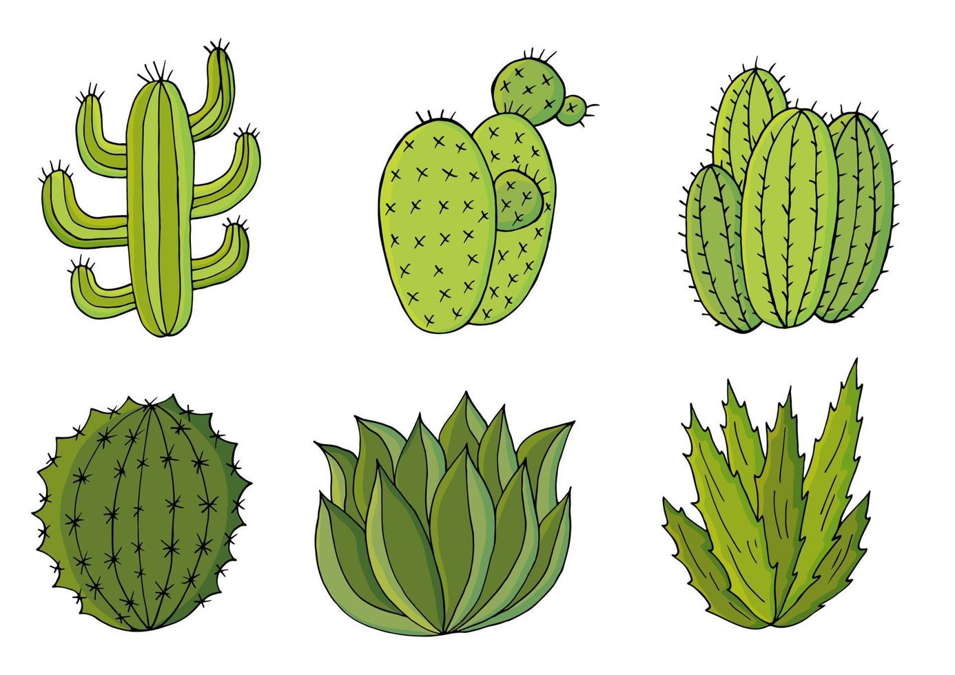 schattige vectorillustratie. cactussen, aloë, vetplanten. decoratieve natuurlijke elementen vector