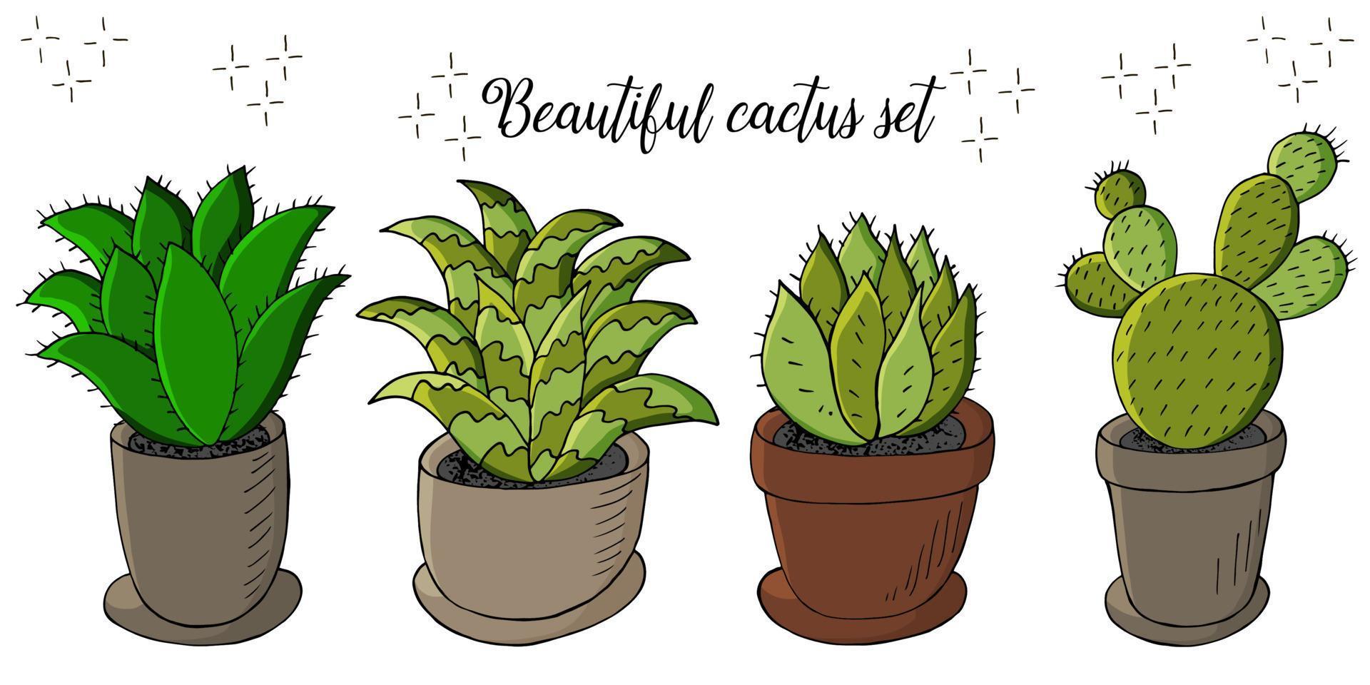 schattige vectorillustratie. cactussen, aloë, vetplanten. decoratieve natuurlijke elementen vector