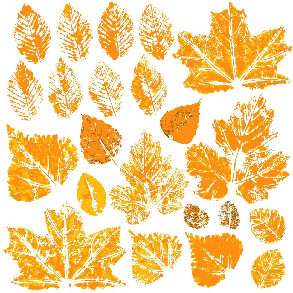 set van vectortekeningen met acrylverf. verzameling herfstbladeren vector