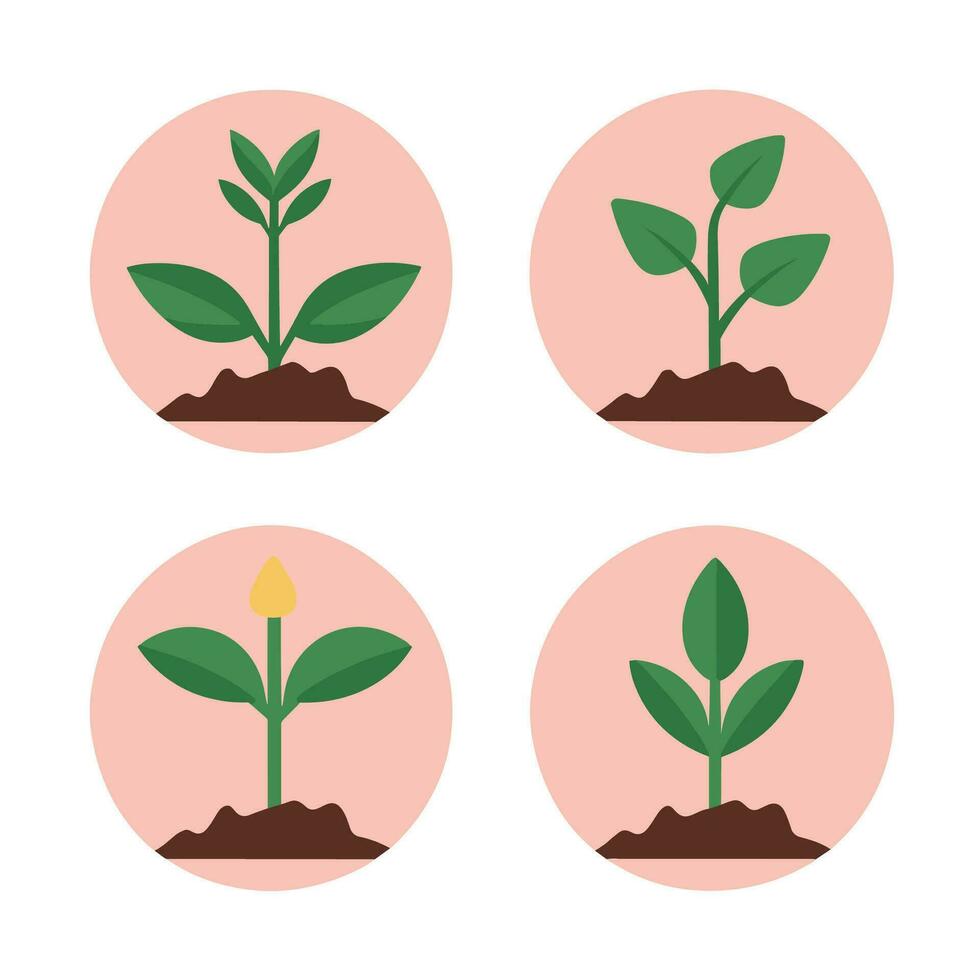 bloemen en planten zaailing werkwijze vlak pictogrammen reeks geïsoleerd vector illustratie.