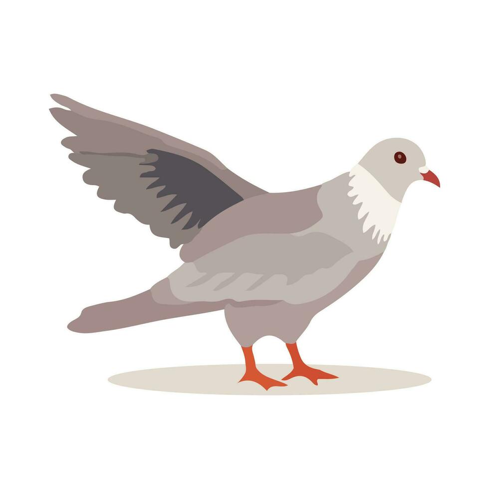 duif vogel geïsoleerd Aan wit achtergrond. tekenfilm stijl. vector illustratie.