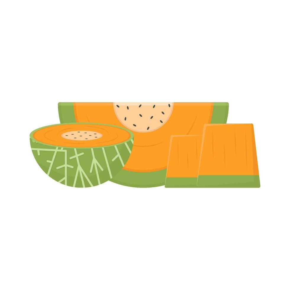 meloen plak fruit illustratie vector