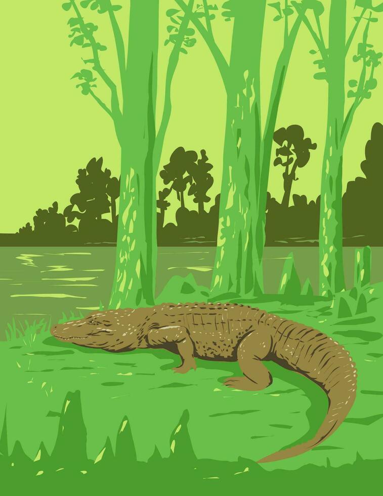 alligator in jean lafitte nationaal historisch park en behouden Louisiana Verenigde Staten van Amerika kunst deco wpa poster kunst vector