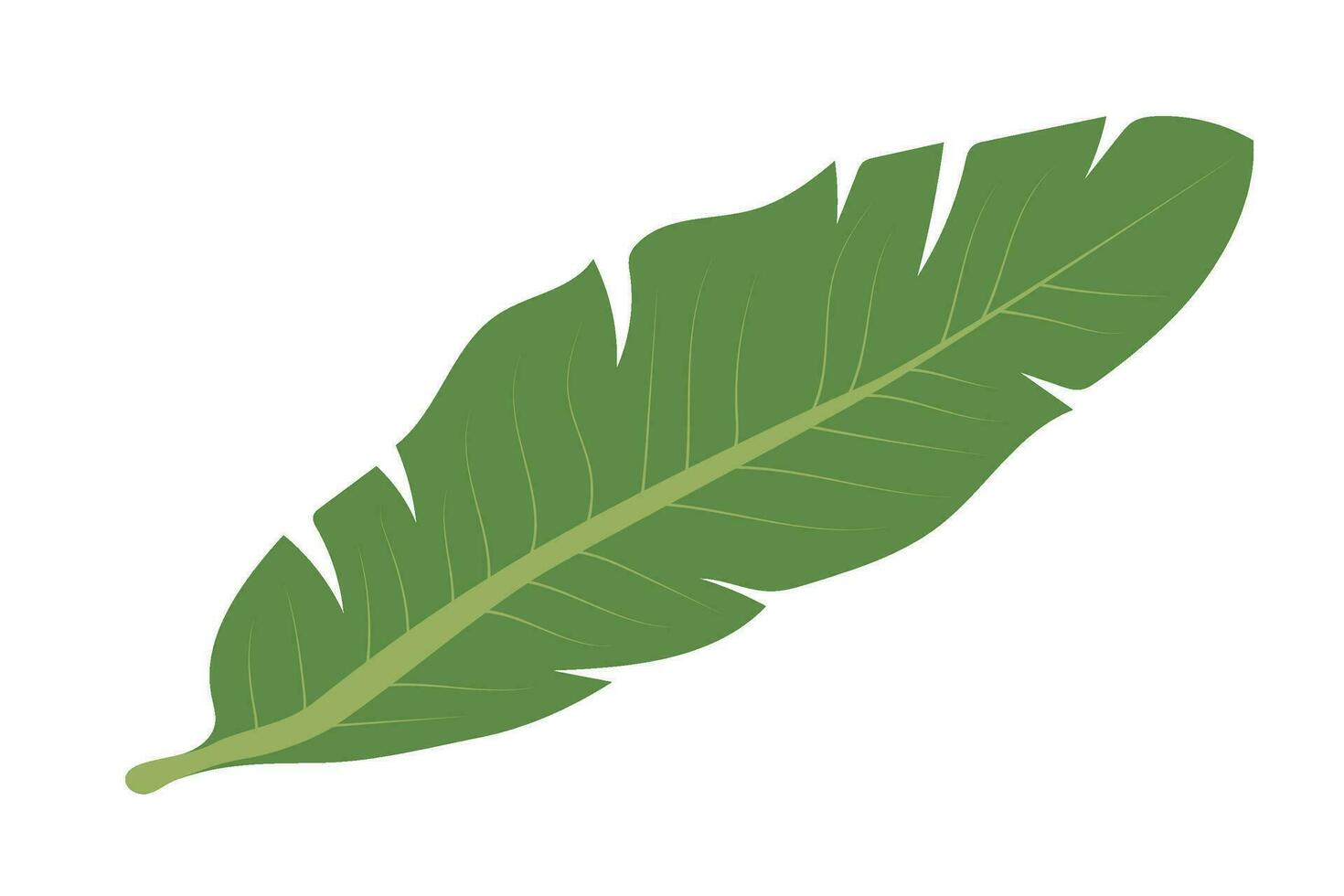 groen palm blad. geïsoleerd element voor uw ontwerp vector