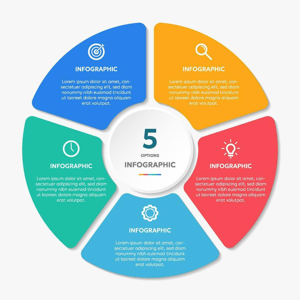 cirkel vorm infographic tabel sjabloon met 5 opties. vector