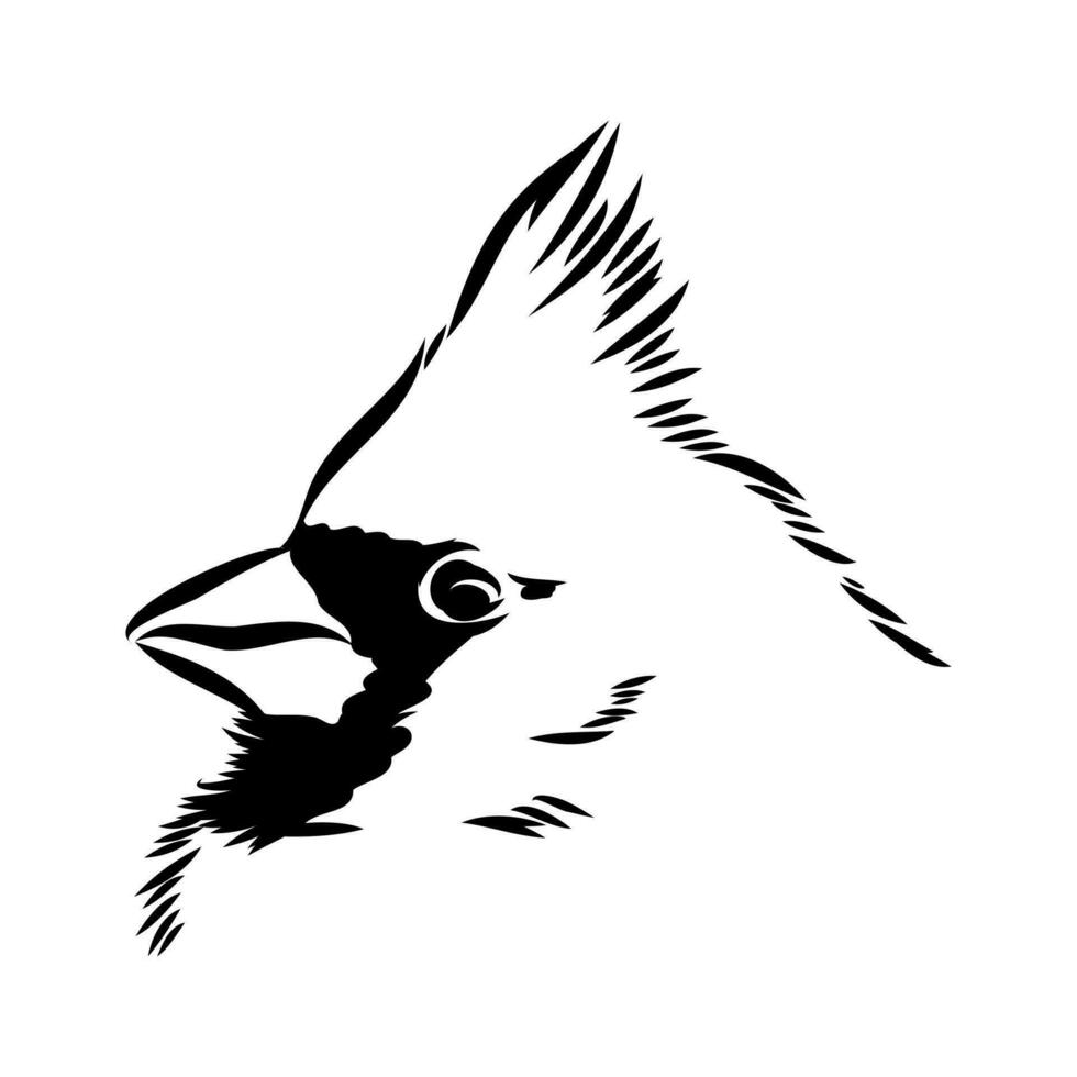 kardinaal vogel vector schetsen