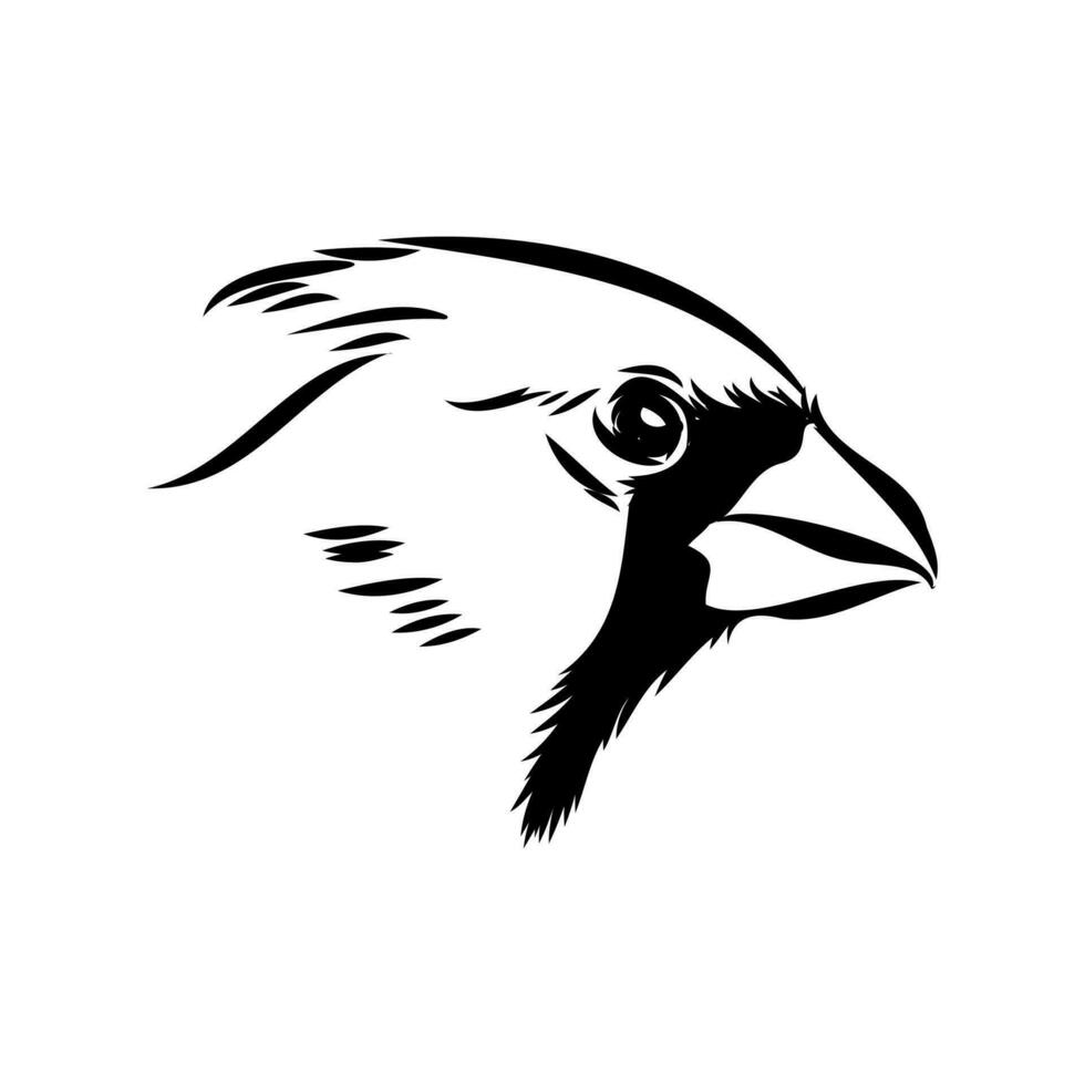 kardinaal vogel vector schetsen