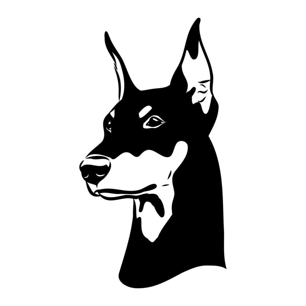 doberman hond vector schetsen