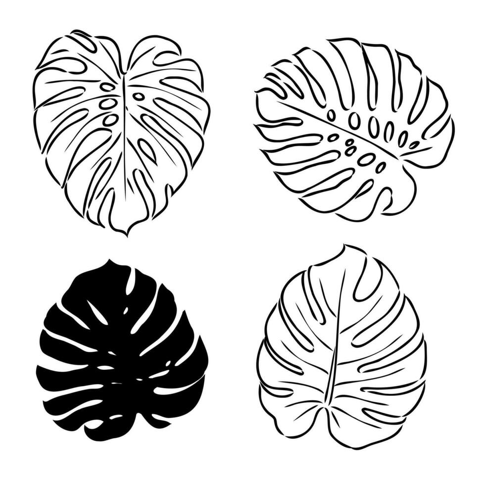 monstera fabriek vector schetsen