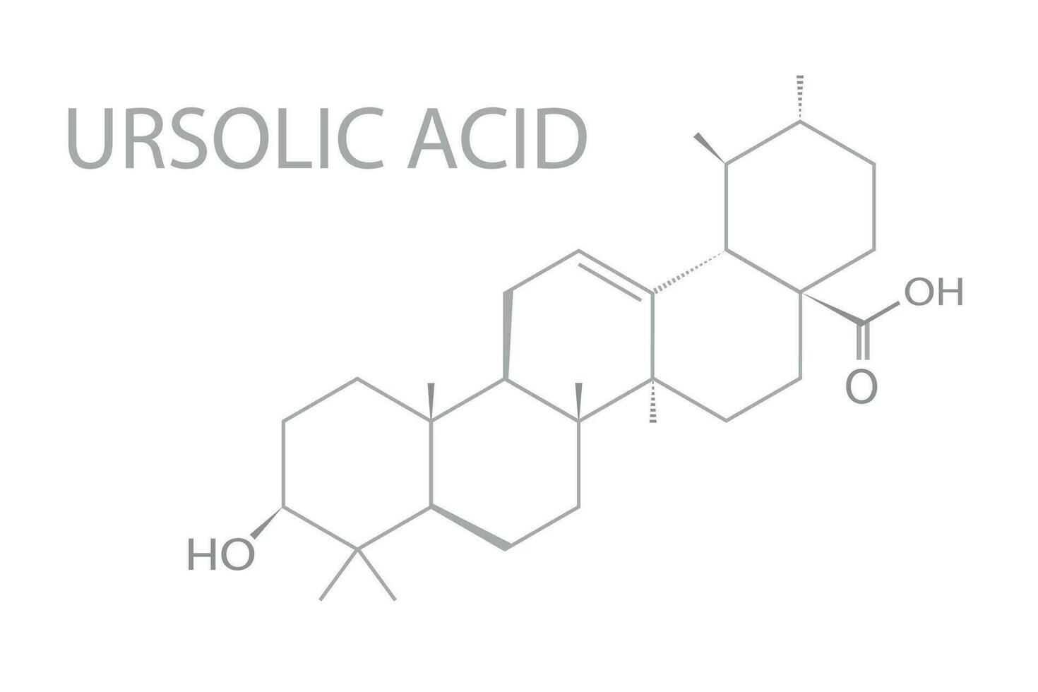 Ursolisch zuur moleculair skelet- chemisch formule vector