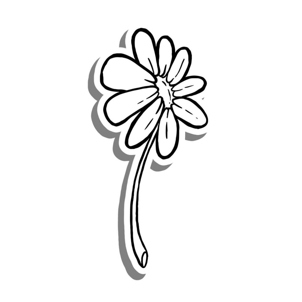 zwart lijn single madeliefje bloem bloeien Aan wit silhouet en grijs schaduw. hand- getrokken tekenfilm stijl. vector illustratie voor versieren, kleur en ieder ontwerp.
