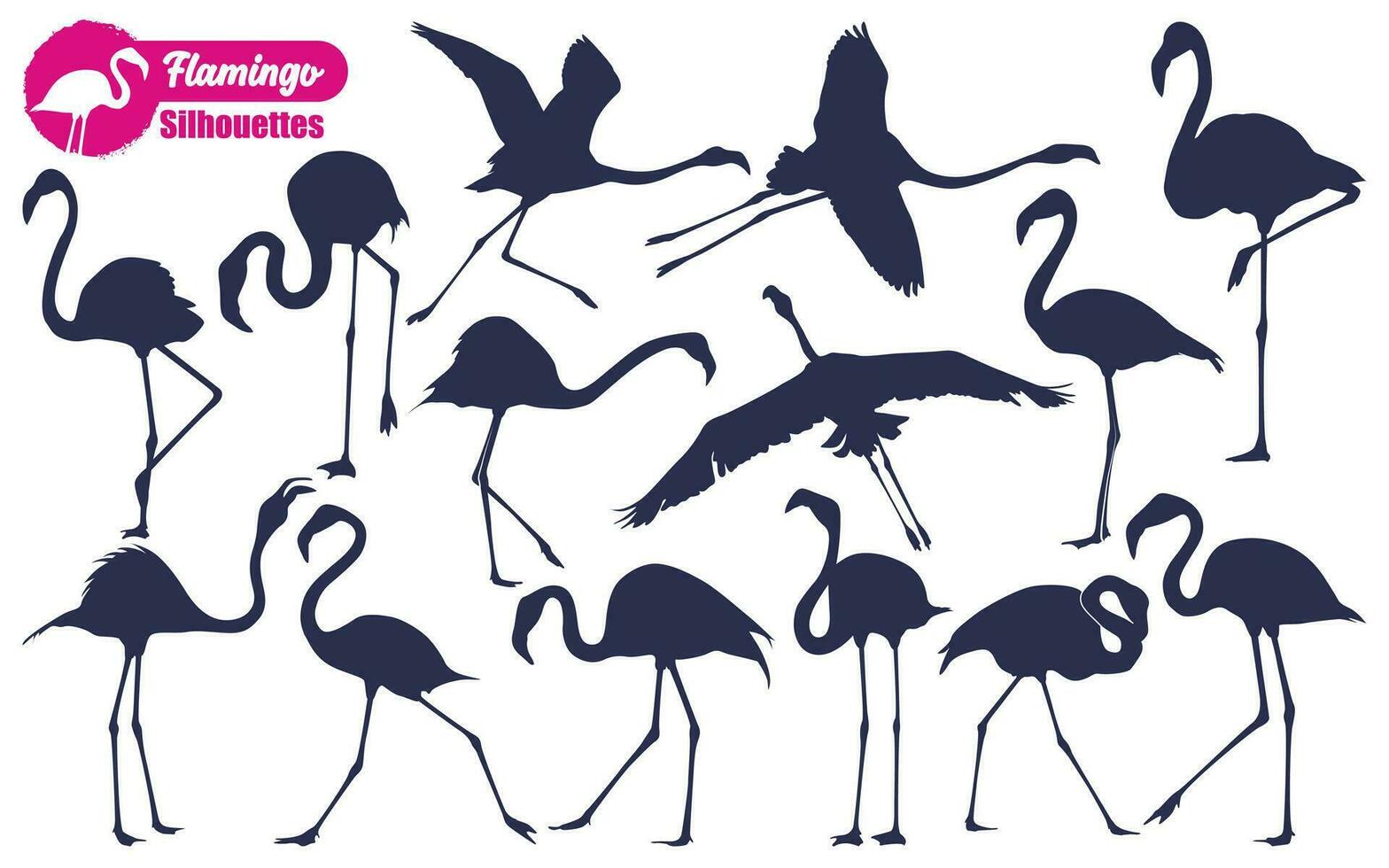 flamingo vogel silhouetten vector kunst