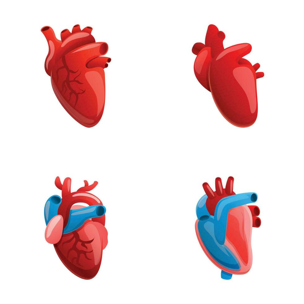 hart pictogrammen reeks tekenfilm vector. menselijk hart met veneus systeem vector