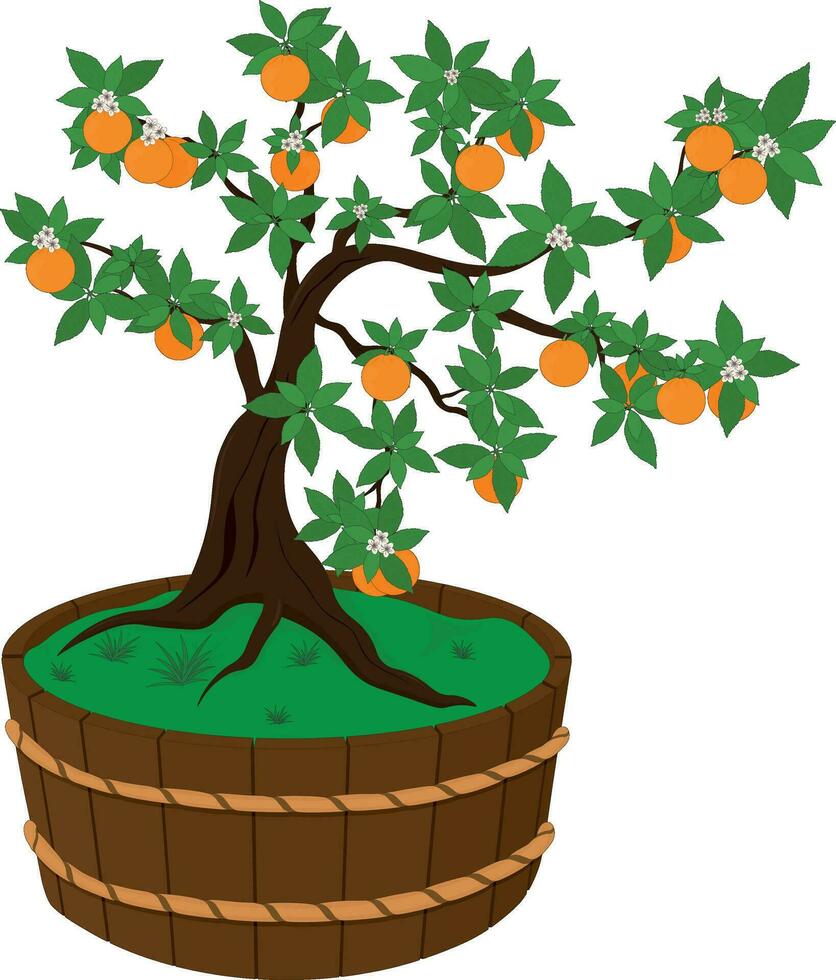 oranje boom met fruit en bloemen in houten vat vector illustratie
