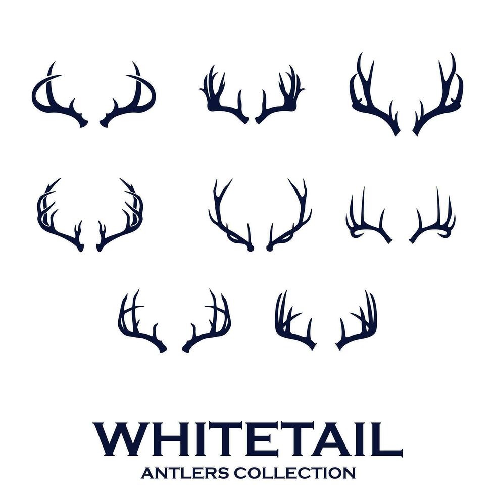 whitetail gewei verzameling van hert hoorns vector illustratie