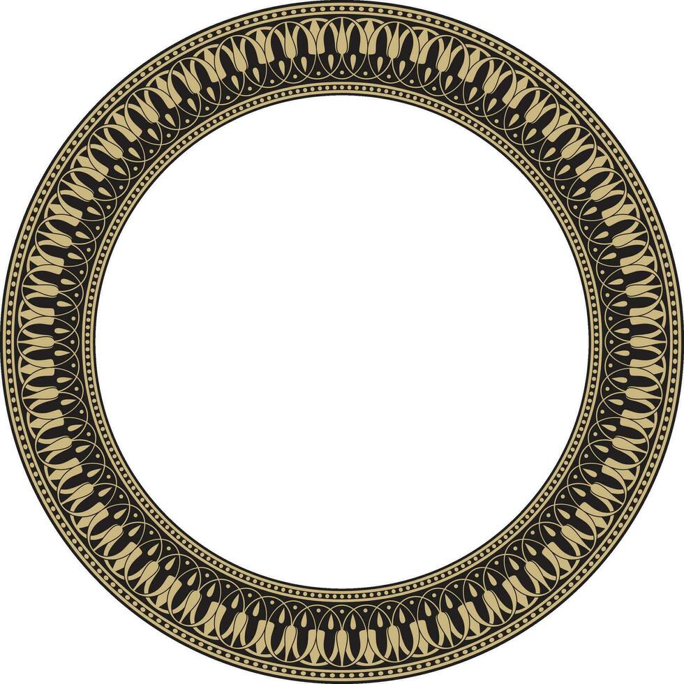 vector goud en zwart ronde klassiek Grieks meander ornament. patroon, cirkel van oude Griekenland. grens, kader, ring van de Romeins rijk..