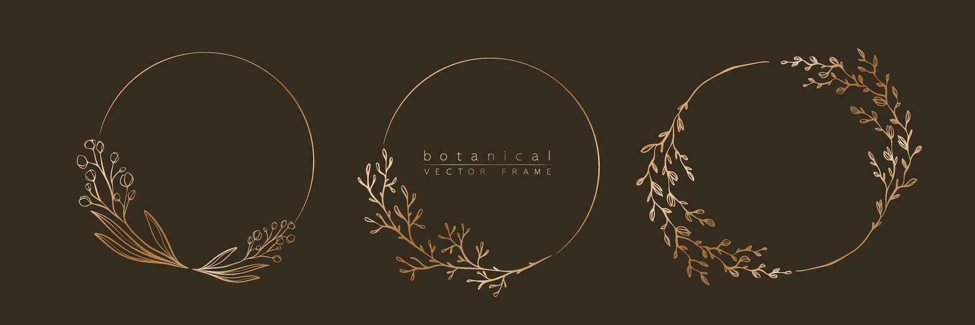 botanisch gouden cirkel kader set. hand- getrokken ronde lijn grens, bladeren en bloemen voor bruiloft uitnodiging en kaarten, logo ontwerp, sociaal media en posters sjabloon. elegant minimaal bloemen vector. vector