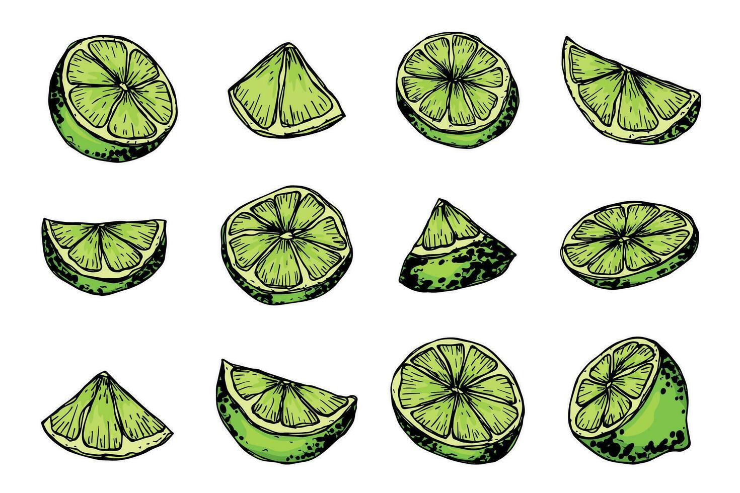 vector limoen clip art. hand- getrokken citrus set. fruit illustratie. voor afdrukken, web, ontwerp, decor