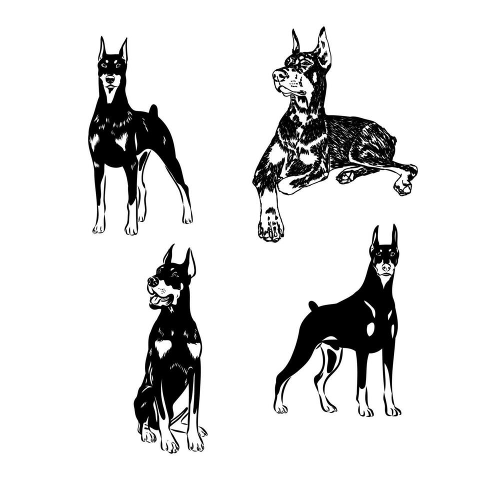 doberman hond vector schetsen