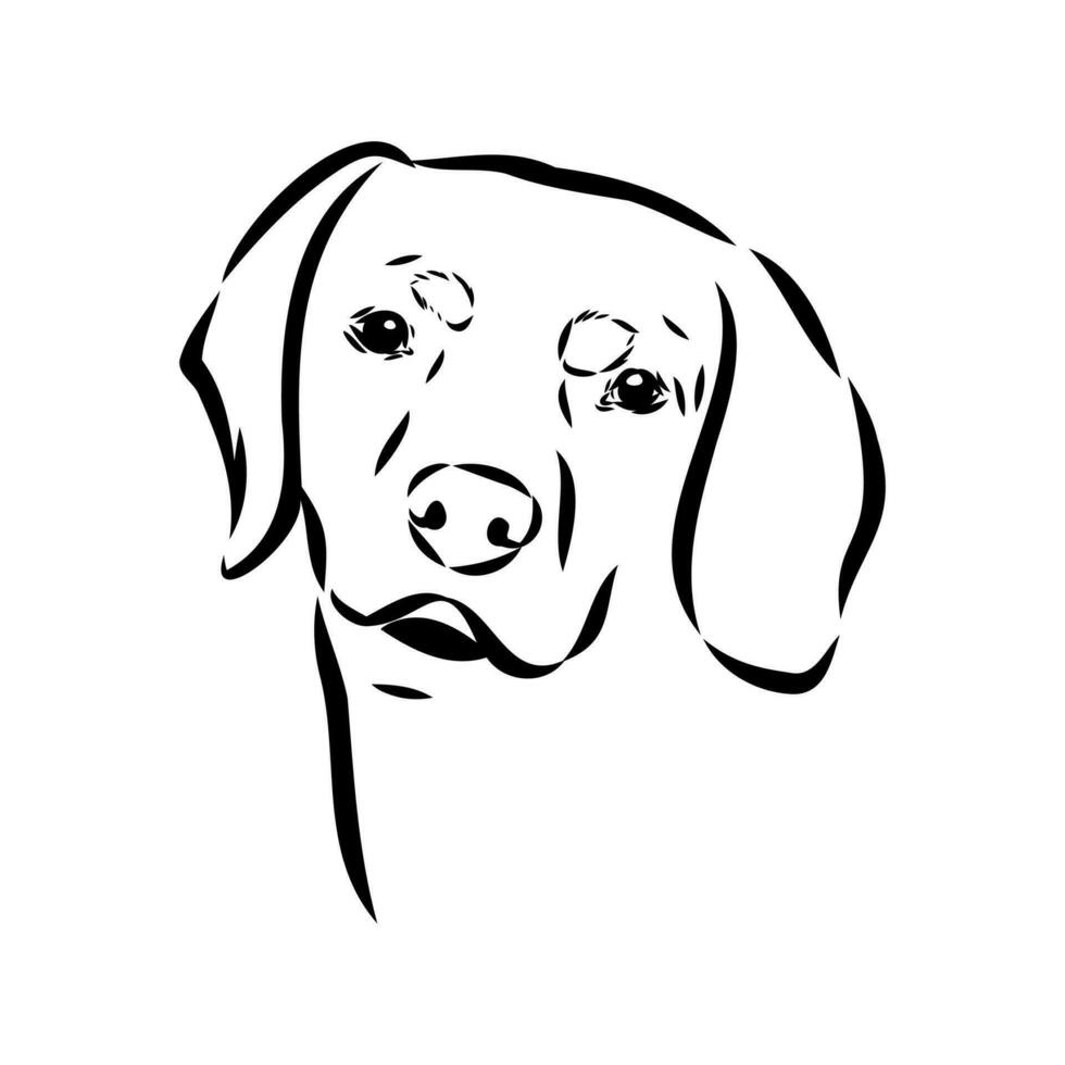 oostenrijks zwart en bruinen hond vector schetsen