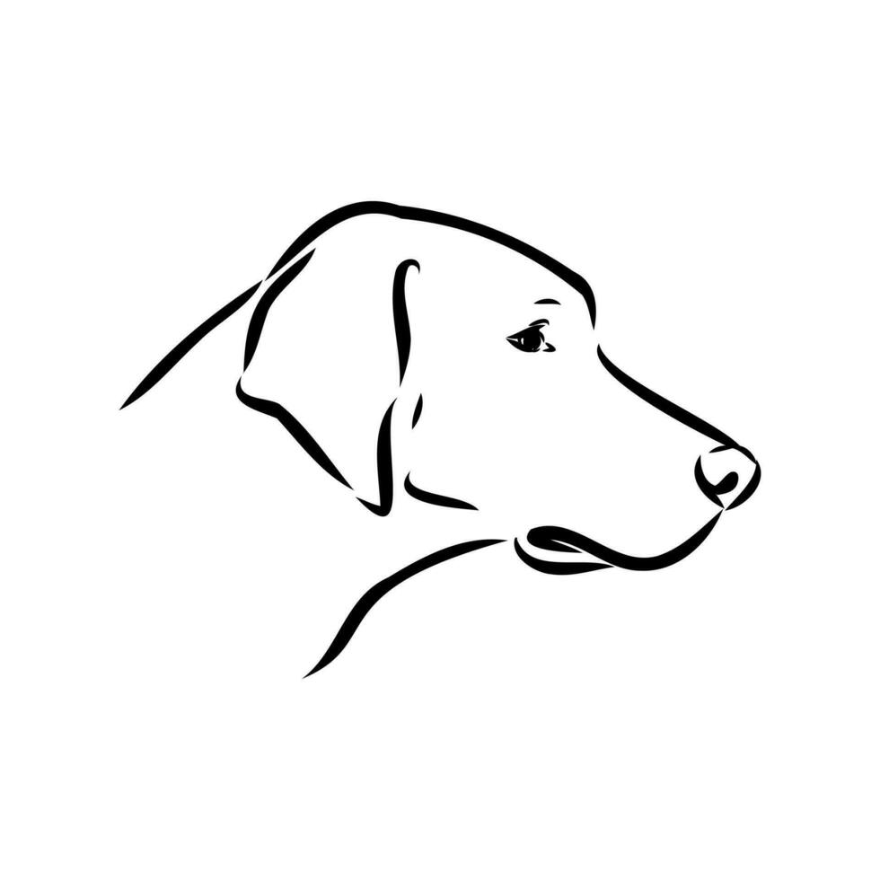 oostenrijks zwart en bruinen hond vector schetsen