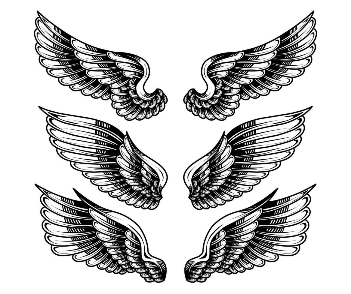 vector reeks van wijnoogst engel Vleugels tatoeages