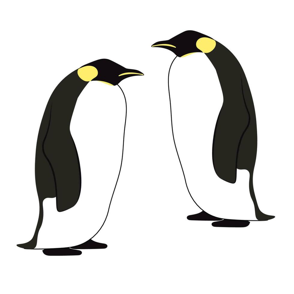 vector illustratie van paar pinguïn keizer Aan wit achtergrond