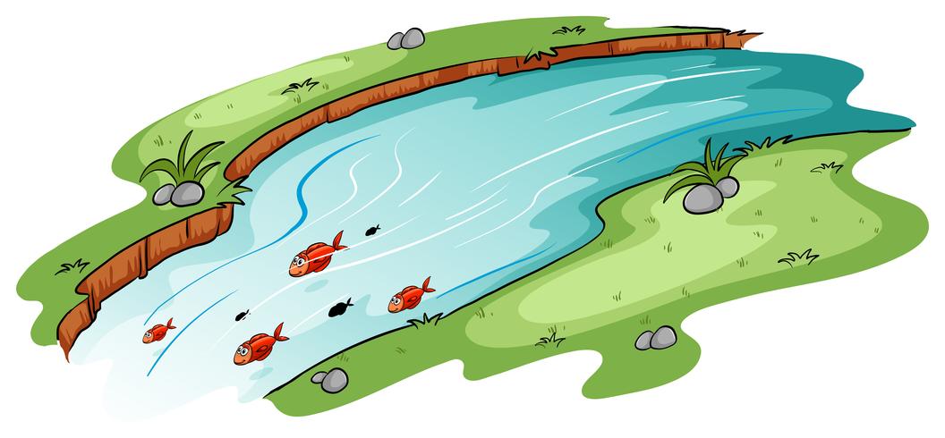 Een rivier met een school vissen vector