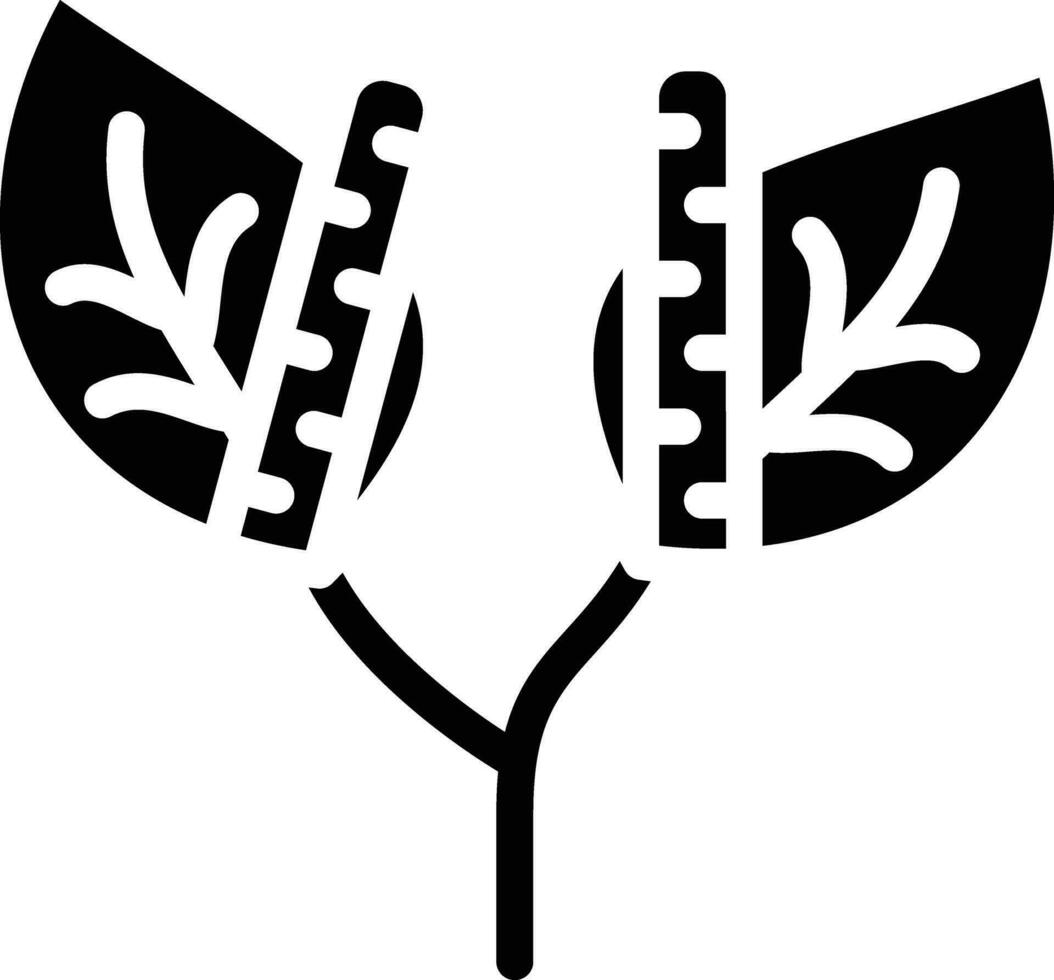 anthurium vector pictogram