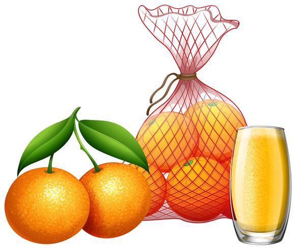 Fris oranje en sinaasappelsap vector