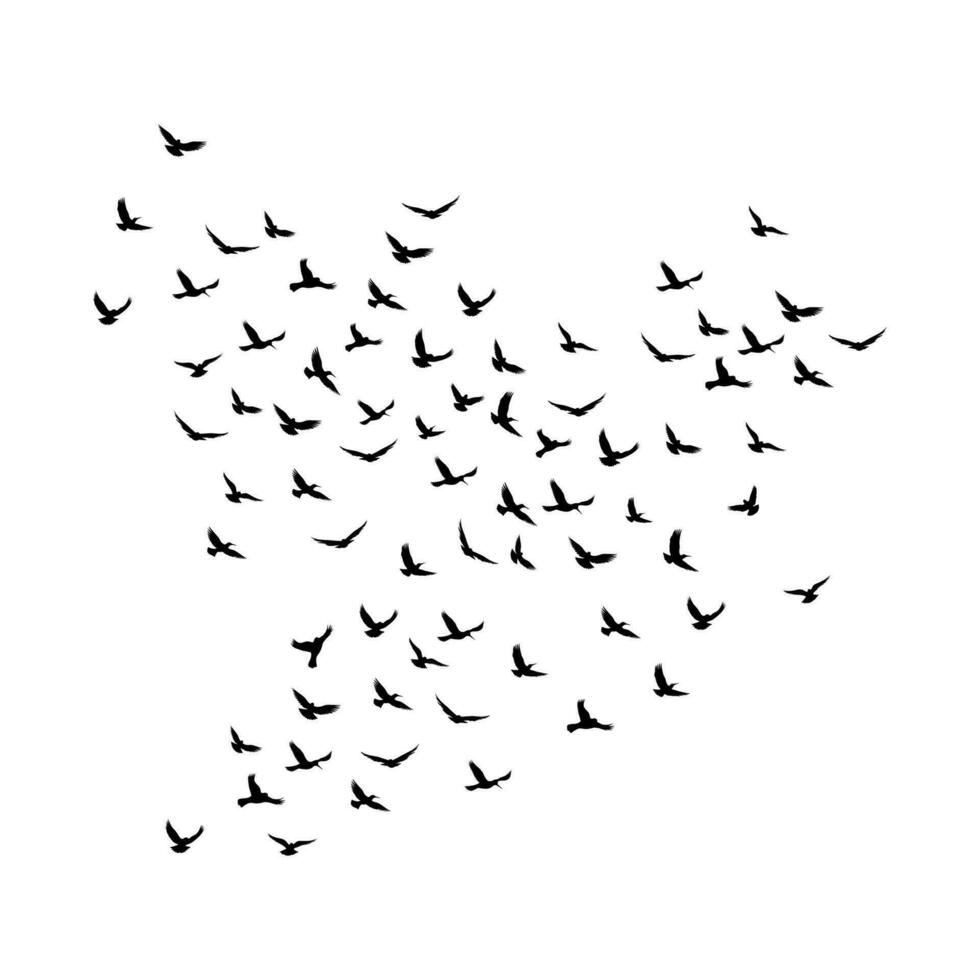 vector een kudde van vliegend silhouet vogelstand vector illustratie