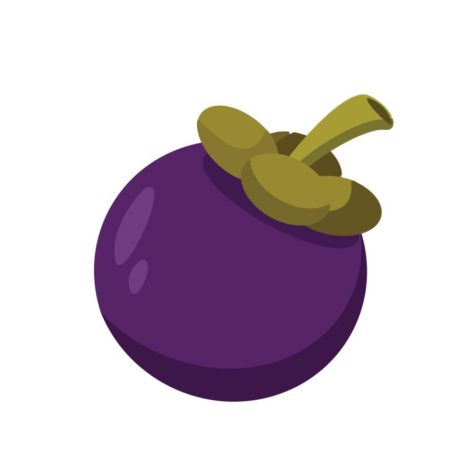 mangosteen geïsoleerd op een witte achtergrond, vector design