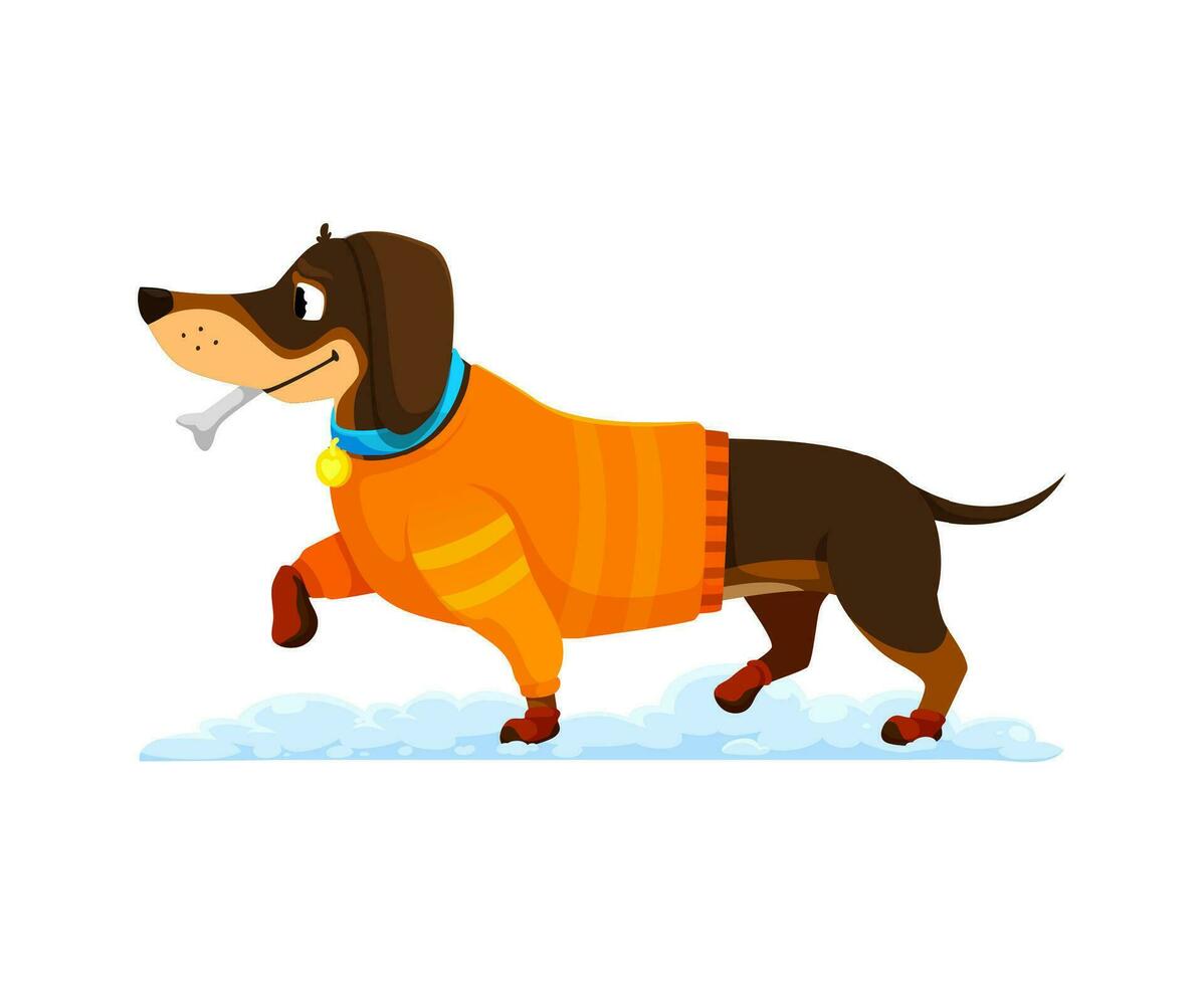 tekenfilm teckel hond in knus winter kleren vector