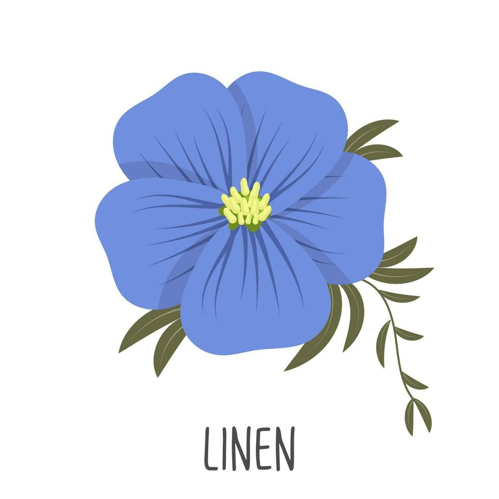 blauw vlas bloem Aan een wit achtergrond. linnen kleur. illustratie, vector