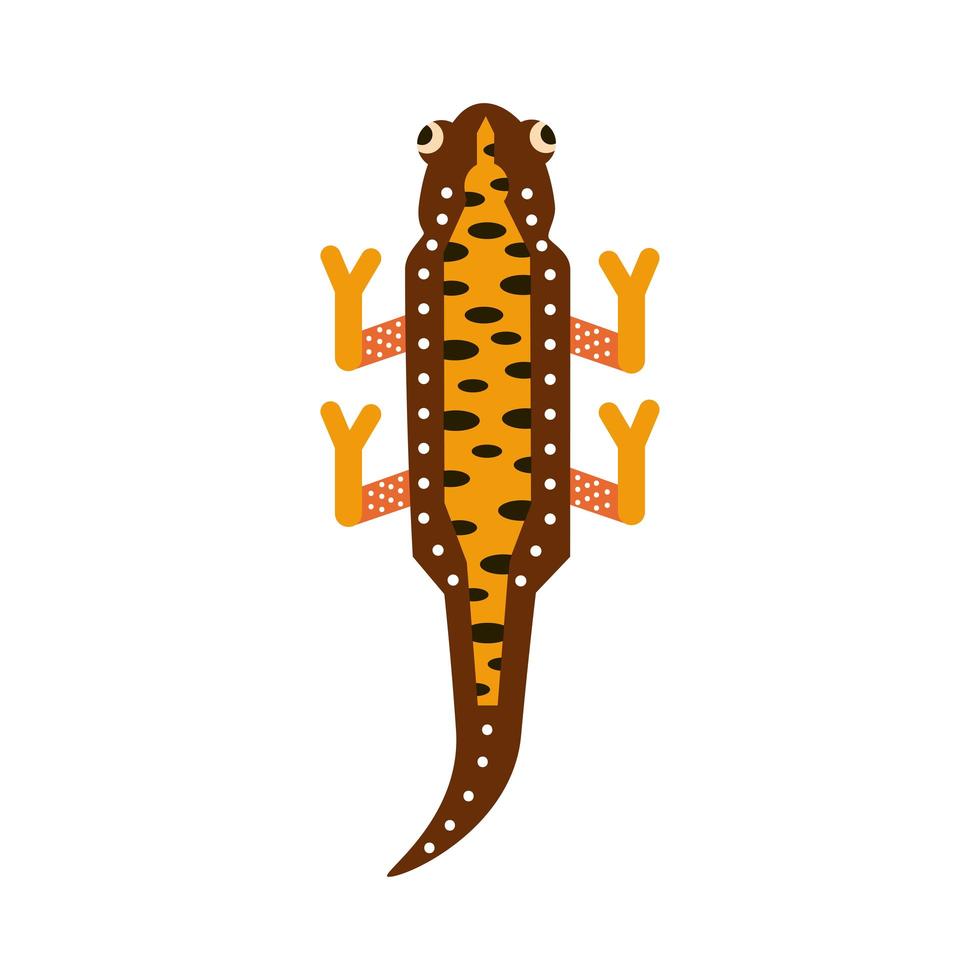 schattige amfibie watersalamander vector