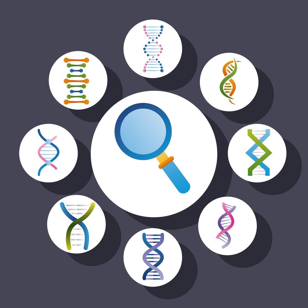 vergrootglas en dna-pictogrammen vector