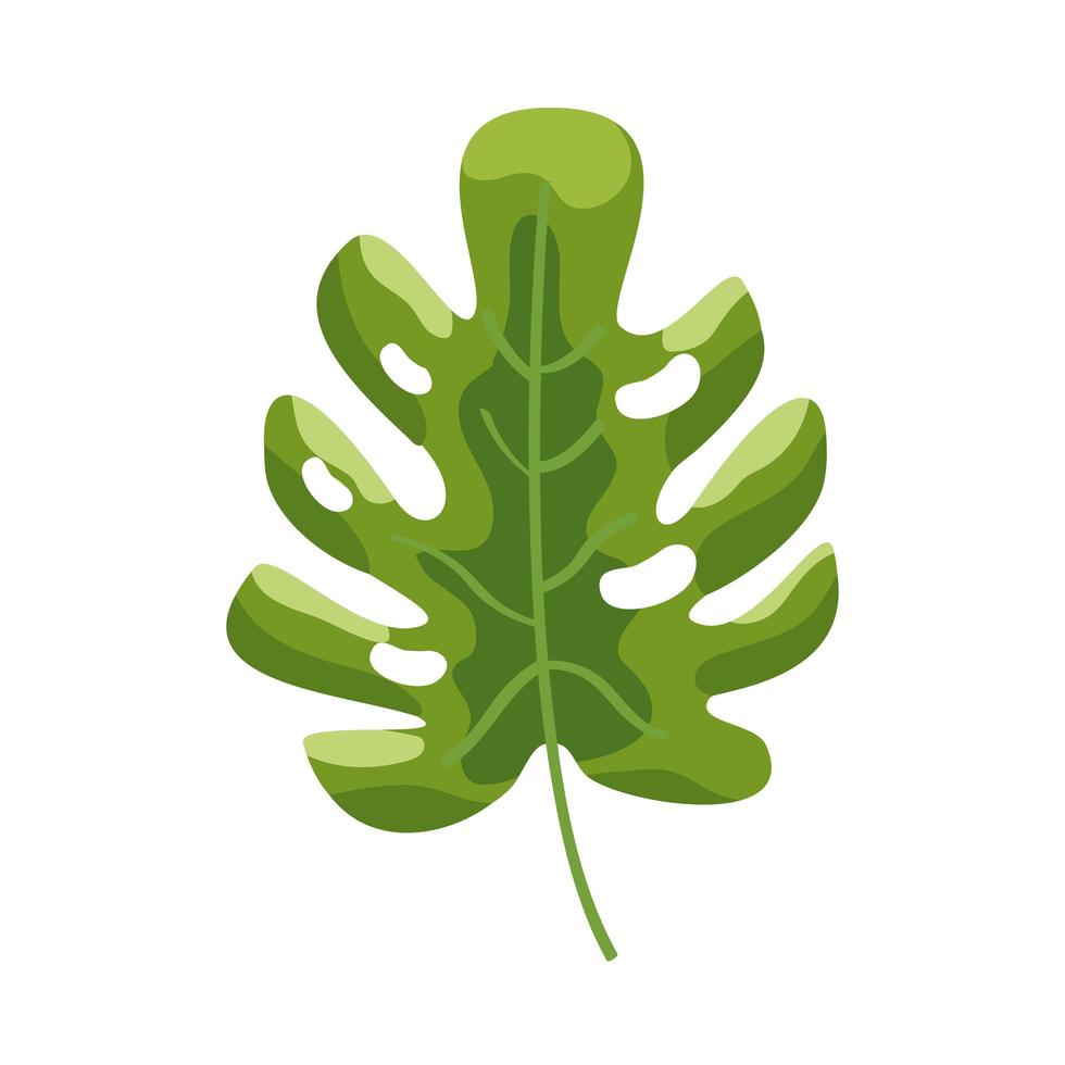 tropisch groen blad vector