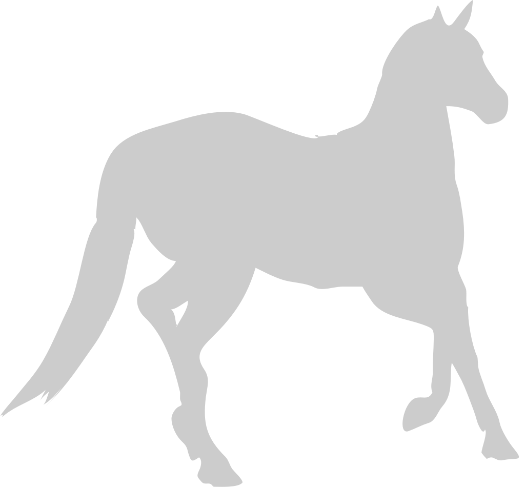 paard vector