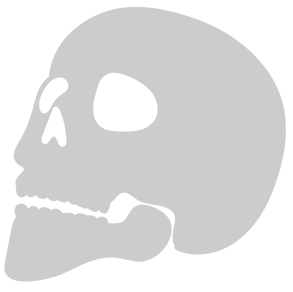 schedel vector