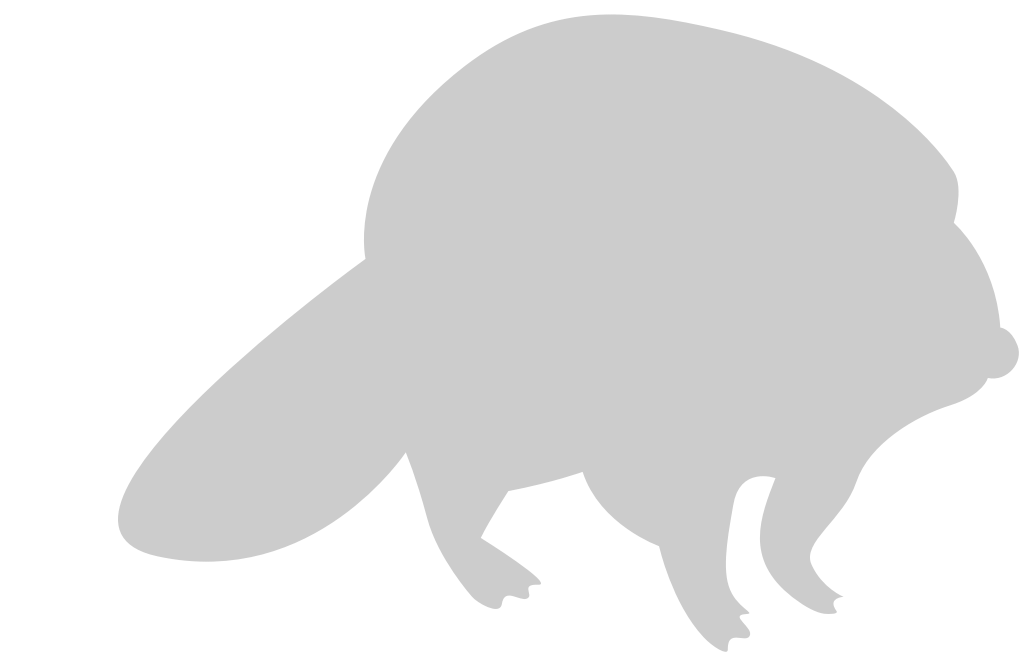 bever vector