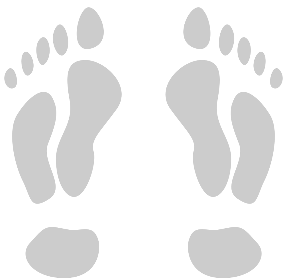 voetafdrukken vector