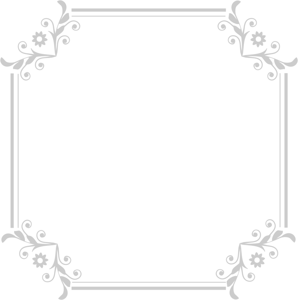 decoratie frame vector