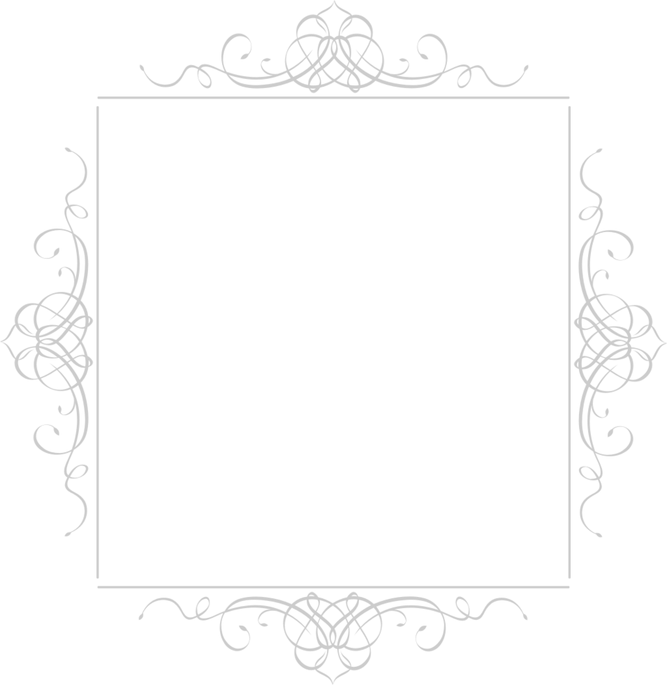 decoratie frame rechthoek vector