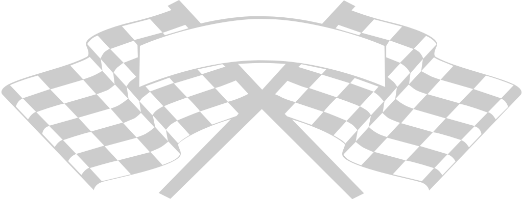 race vlag vector