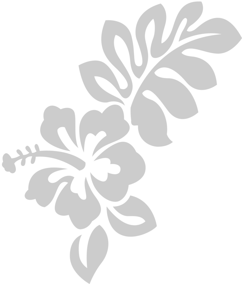 Hibiscus bloem vector