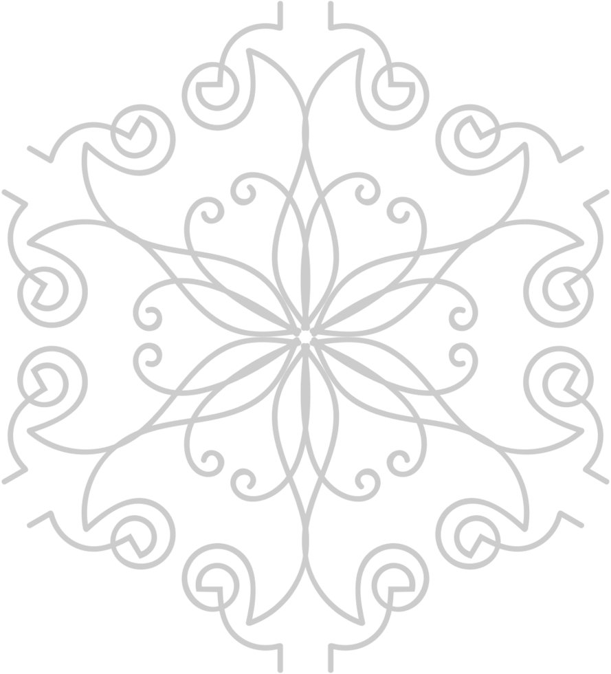 sneeuwvlokken decoratie ornament vector