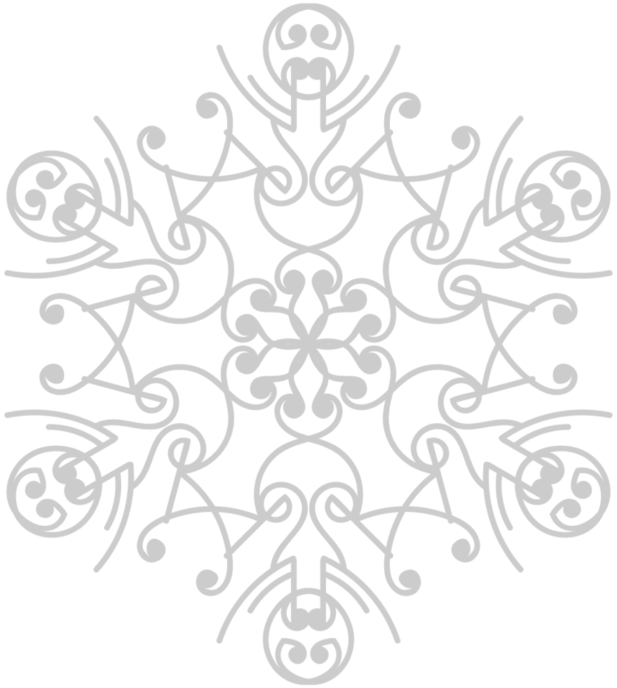 sneeuwvlokken decoratie ornament vector