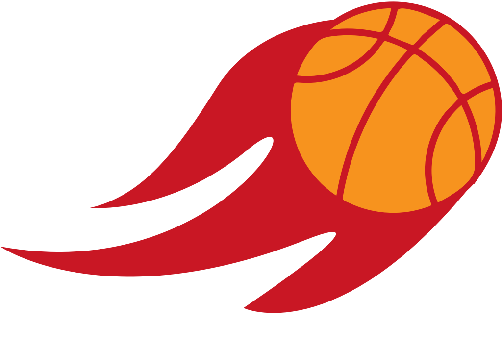 basketbal in brand vector