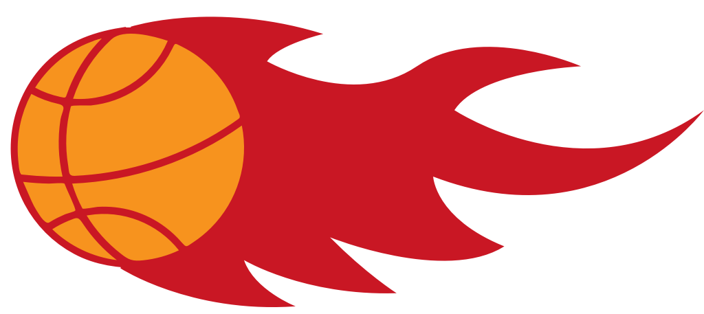 basketbal in brand vector